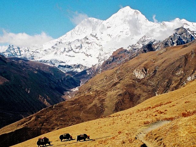 Laya Gasa Trekking