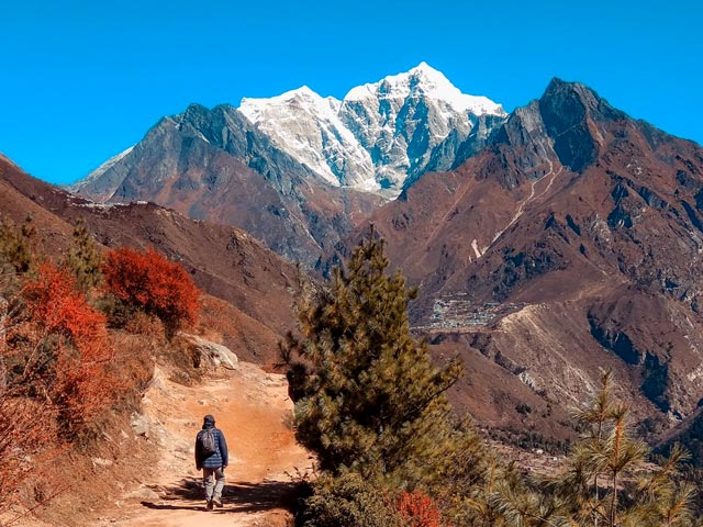 Yambong Singalila Trek, Sikkim