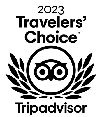 TripAdvisor 2023
